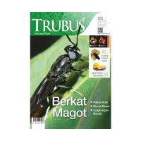 Image of Berkat Magot