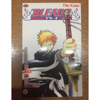 Image of Bleach 1 : The death and the Strawberry